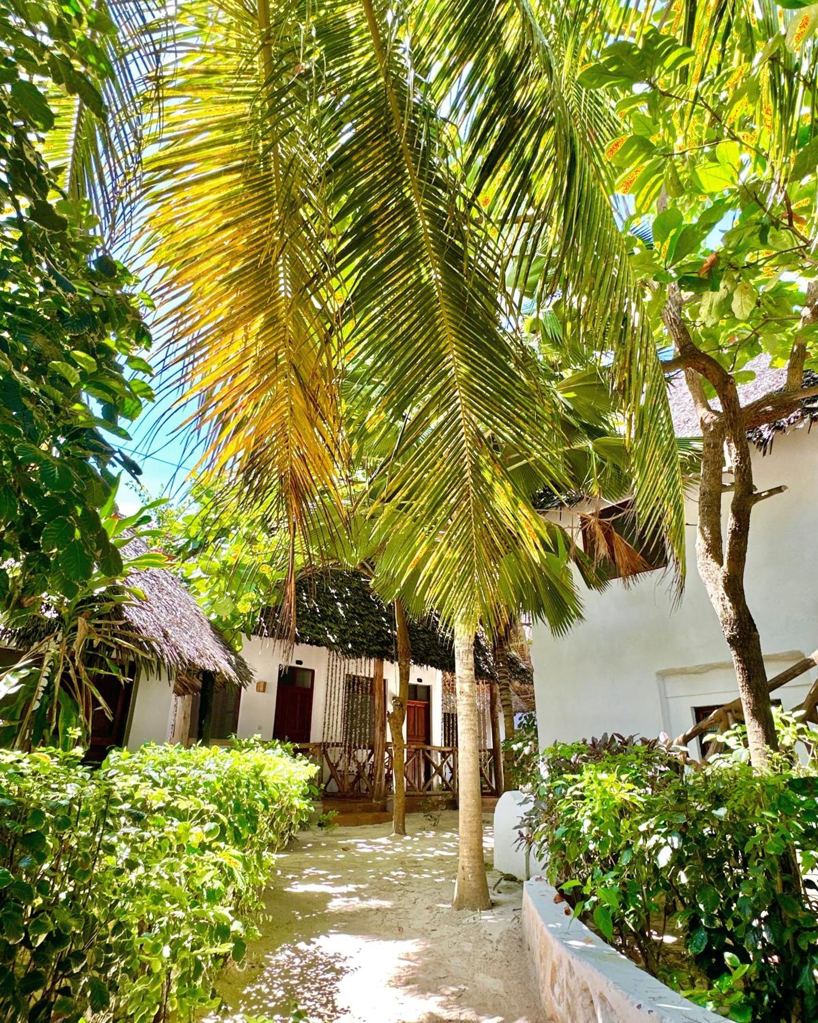 Hebe 3* Matemwe (Zanzibar)